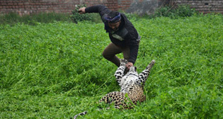 Фотохроника 31 января