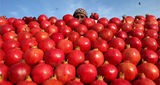 Фотохроника 1 февраля