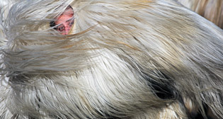 Лучшие фото недели