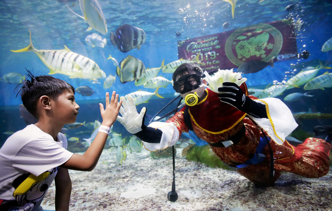 В океанариуме Манилы, Филиппины