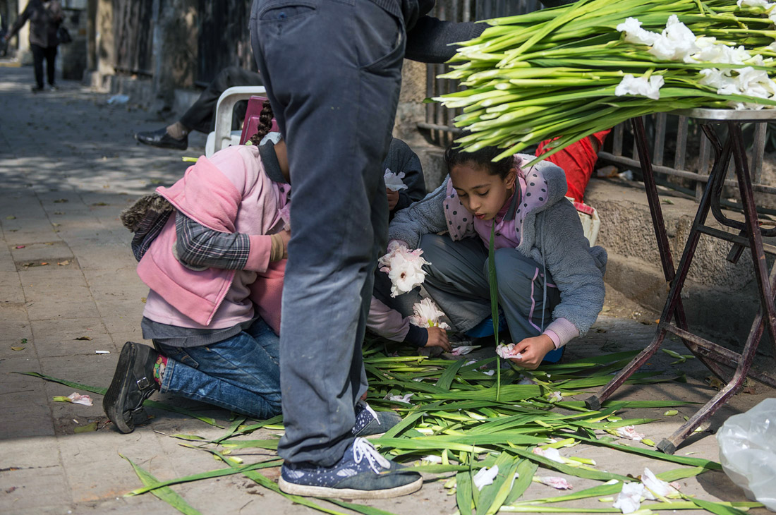 Подготовка ко Дню святого Валентина в Египте