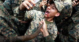 Фотохроника 14 февраля