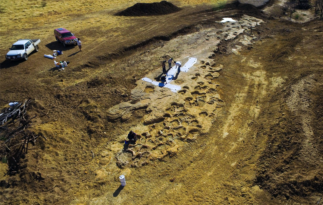 Палеонтологи обнаружили ряд хорошо сохранившихся следов динозавров в центральной части Квинсленда, Австралия