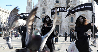 Фотохроника 19 февраля