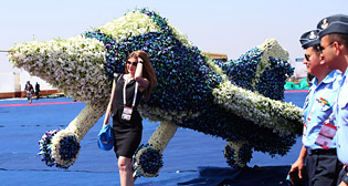 Международный авиасалон в Бангалоре