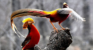 Лучшие фото недели