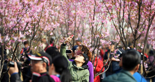 Фотохроника 18 марта