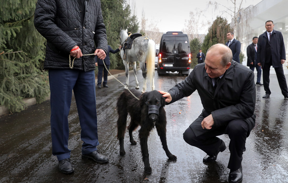Президент России Владимир Путин получил в подарок от президента Киргизии Сооронбая Жээнбекова орловского скакуна и собаку породы тайган (киргизская борзая). Свои подарки Жээнбеков передал Путину во время его государственного визита в Киргизию.