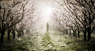 Лучшие фото недели