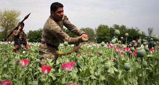 Фотохроника 9 апреля