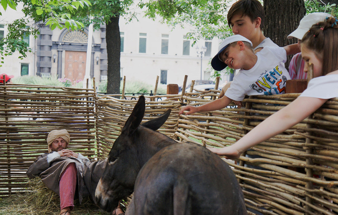 Пока хозяин не видит