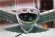 Новый военный беспилотный летательный аппарат в виде полярной совы (технополис "Эра")