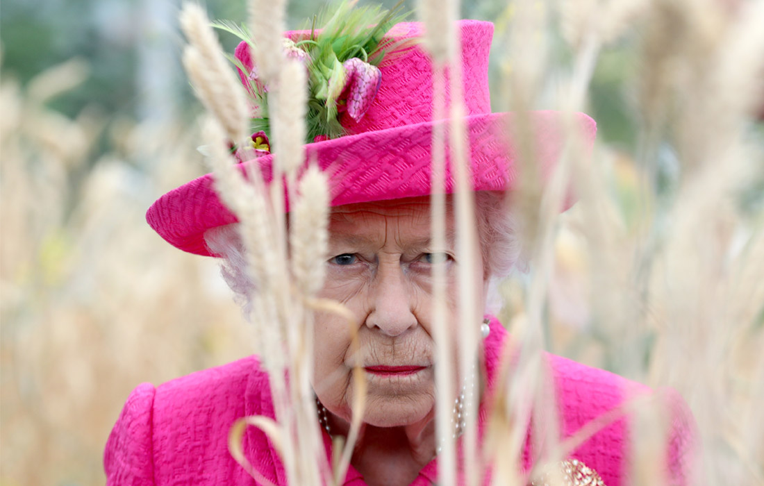 Королева Великобритании Елизавета II посетила парк Национального института сельскохозяйственной ботаники в Кембридже