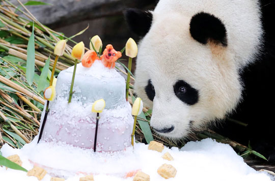 Фотохроника 15 июля