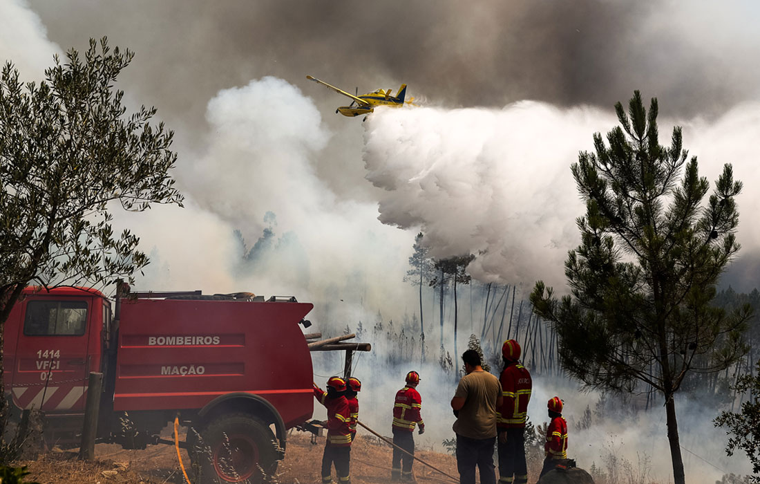 Пожарным удалось взять ситуацию под контроль благодаря относительно низким температурам в ночное время