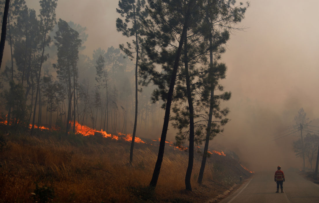 Полиция начала расследование причины возникновения пожаров, по подозрению в поджоге задержан 55-летний мужчина