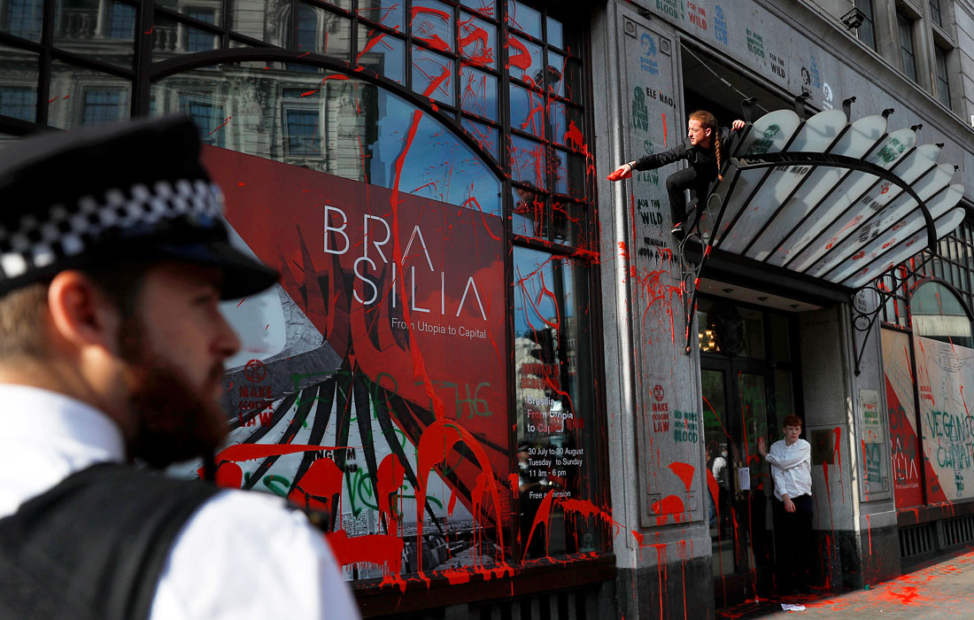 В Лондоне демонстранты облили красной краской посольство Бразилии в знак протеста против уничтожения тропических лесов Амазонки и насилия над коренными народами, проживающими там