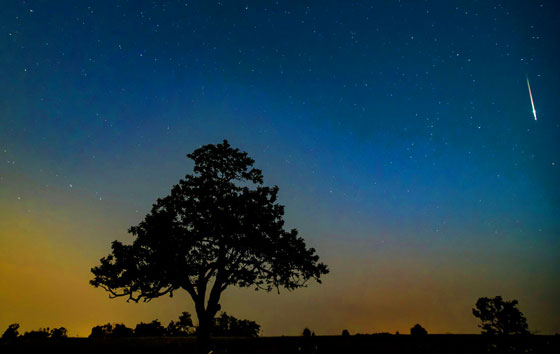 Фотохроника 13 августа