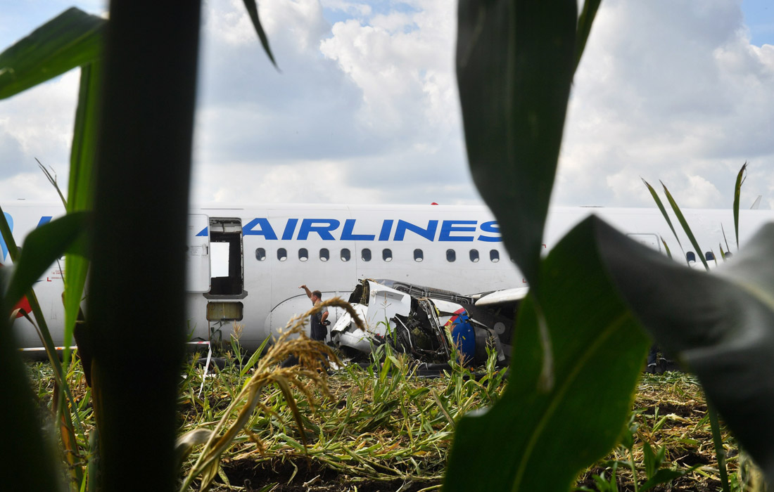 Специалисты готовят к транспортировке самолет A321 "Уральских авиалиний", совершивший жесткую посадку на кукурузное поле в Подмосковье