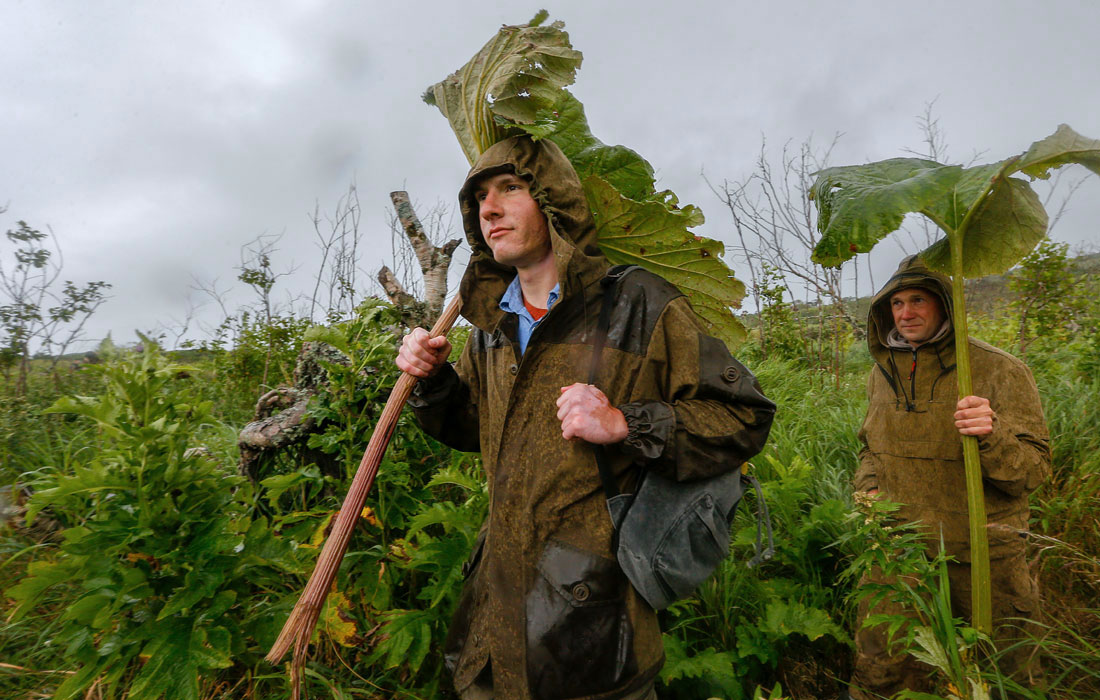 Участниками экспедиции на Курилы стали географы, экологи, геологи, гидрологи, вулканологи, биологи, а также студенческие волонтерские группы, которые помогают ученым