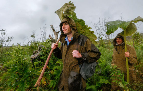 Экспедиция на Курильские острова