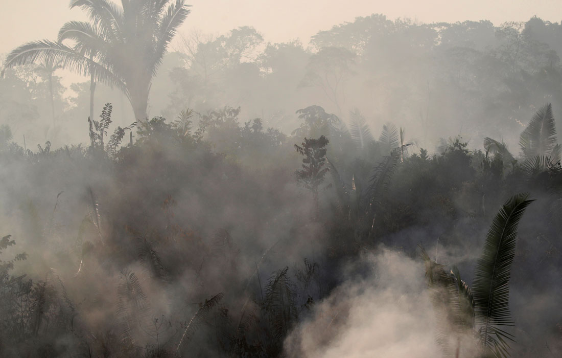 Дождевые леса в Амазонии горят уже более двух недель. Более 1,86 млн гектаров бразильских экваториальных лесов уничтожено в результате пожаров за первые семь месяцев текущего года