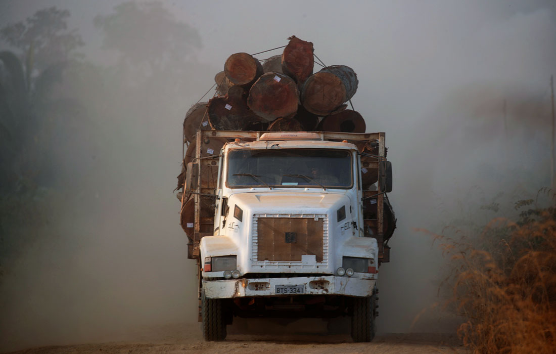 Ранее президент назвал ложью данные о быстрых темпах вырубки леса Амазонии. Однако наблюдения говорят о том, что обезлесения амазонских джунглей ускорилось более чем на 60%, по сравнению с прошлым годом.