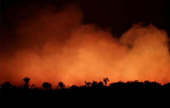 Пожары в джунглях Амазонии