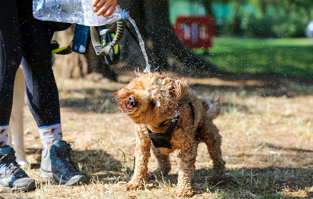 Британское метеобюро сообщило о новых температурных рекордах в последние дни августа
