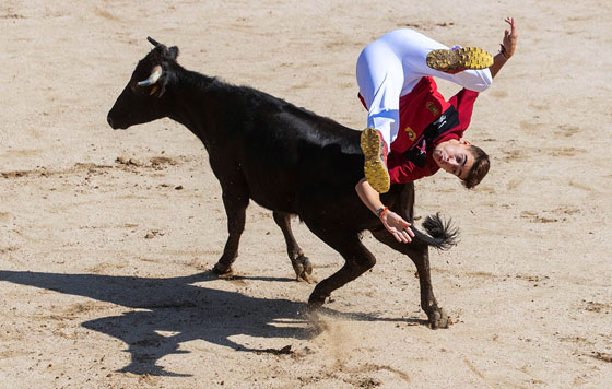Фотохроника 27 августа