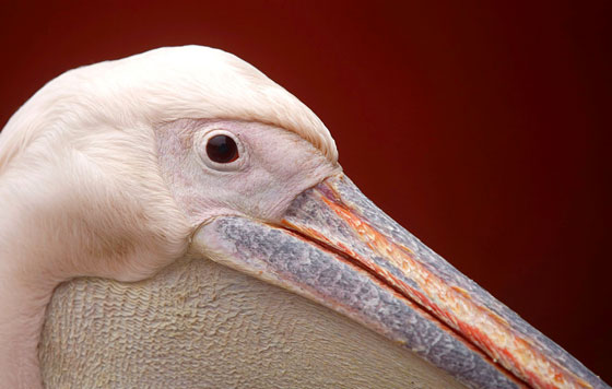 Фотохроника 26 сентября