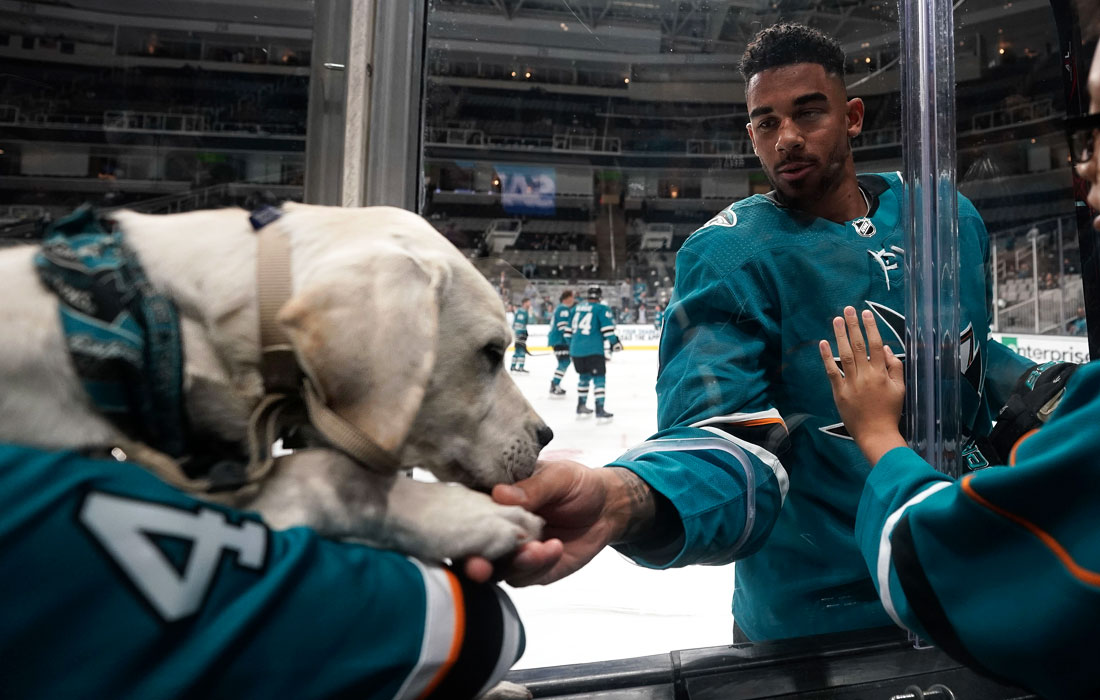 Хокеист Эвандер Кейн приветствует служебную собаку Финна перед игрой в Калифорнии