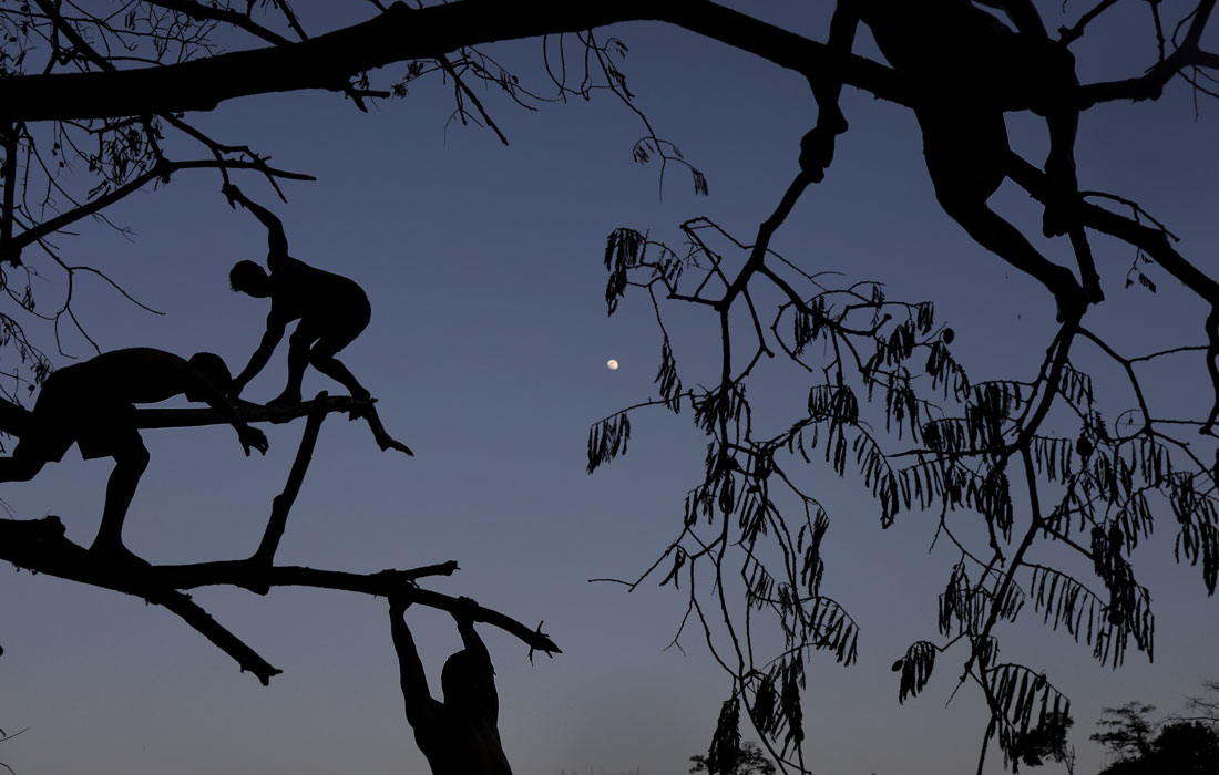 Дети из племени Тембу играют в деревне коренных жителей Теко-хоу в Бразилии