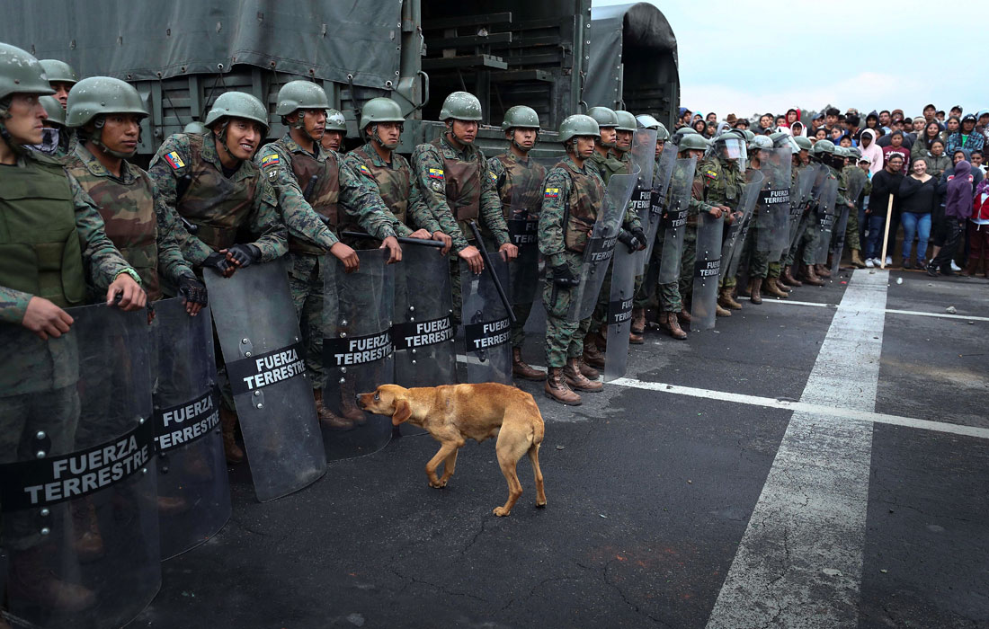 В Эквадоре во время протестов против отмены субсидий на бензин задержали 477 человек