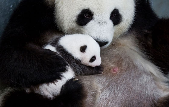 Фотохроника 18 октября