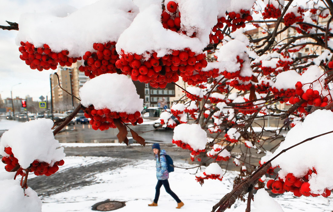 В Санкт-Петербурге выпал первый снег