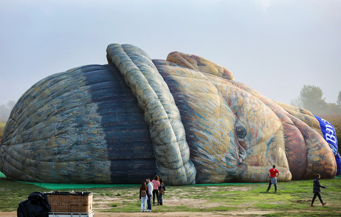 Международный фестиваль воздушных шаров стартовал в португальском Коруши