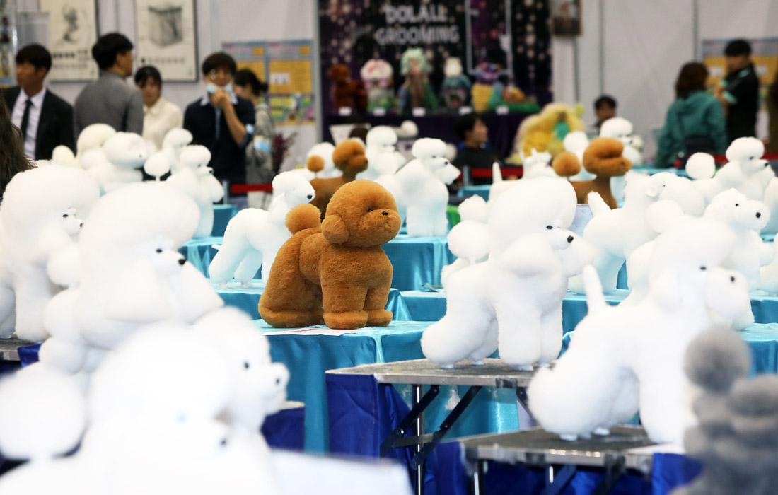 В городе Коян в Южной Корее прошли соревнования по стрижке собак