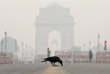 Из-за сильного загрязнения воздуха власти индийского Дели объявили о закрытии всех школ до 5 ноября. Более 30 рейсов в местном аэропорту были отменены, а строительные работы в Дели приостановлены, поскольку город накрыт смогом.