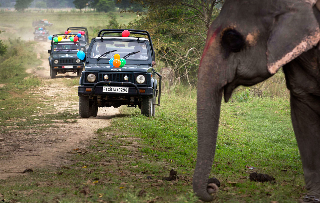 В Индии после сезона дождей открылся природный заповедник Побитора