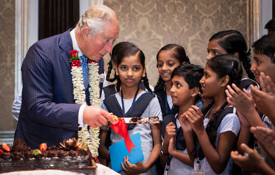 Фотохроника 14 ноября