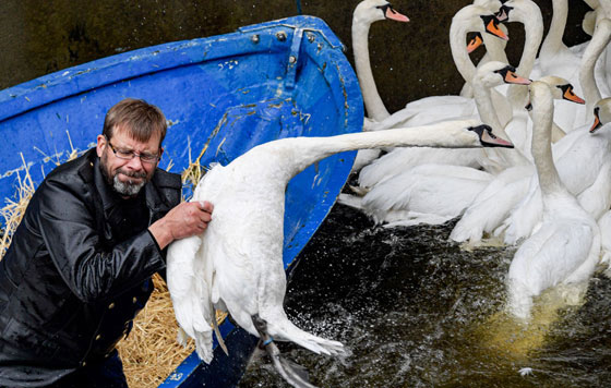 Фотохроника 19 ноября