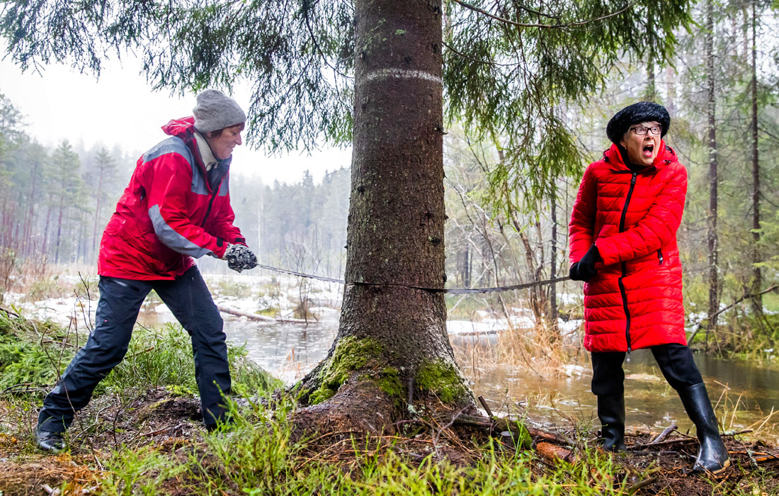 Мэр Осло Марианна Борген (слева) и Рут Буш, советник лондонского Вестминстерского района, спилили рождественскую ель, которая будет стоять на Трафальгарской площади в Лондоне