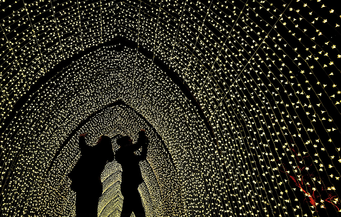 Рождественский сезон был открыт в Королевских ботанических садах Кью в Лондоне. Праздничные гирлянды и световые инсталляции украсили главную аллею парка.