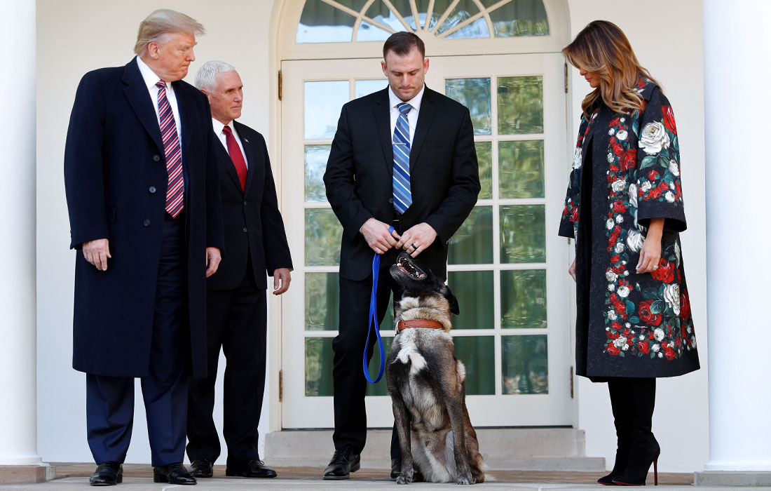 Дональд Трамп наградил медалью и грамотой за героическую службу овчарку Конана, участвовавшую в операции против лидера террористической группировки аль-Багдади
