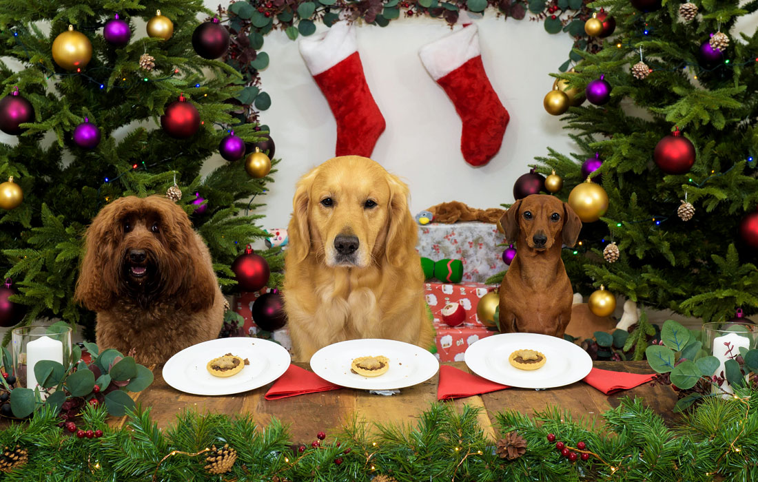 Бип, Борис и Мэш во время рождественского ужина в Лондоне