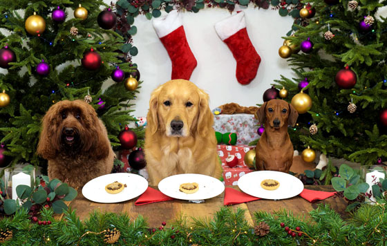 Лучшие фото недели