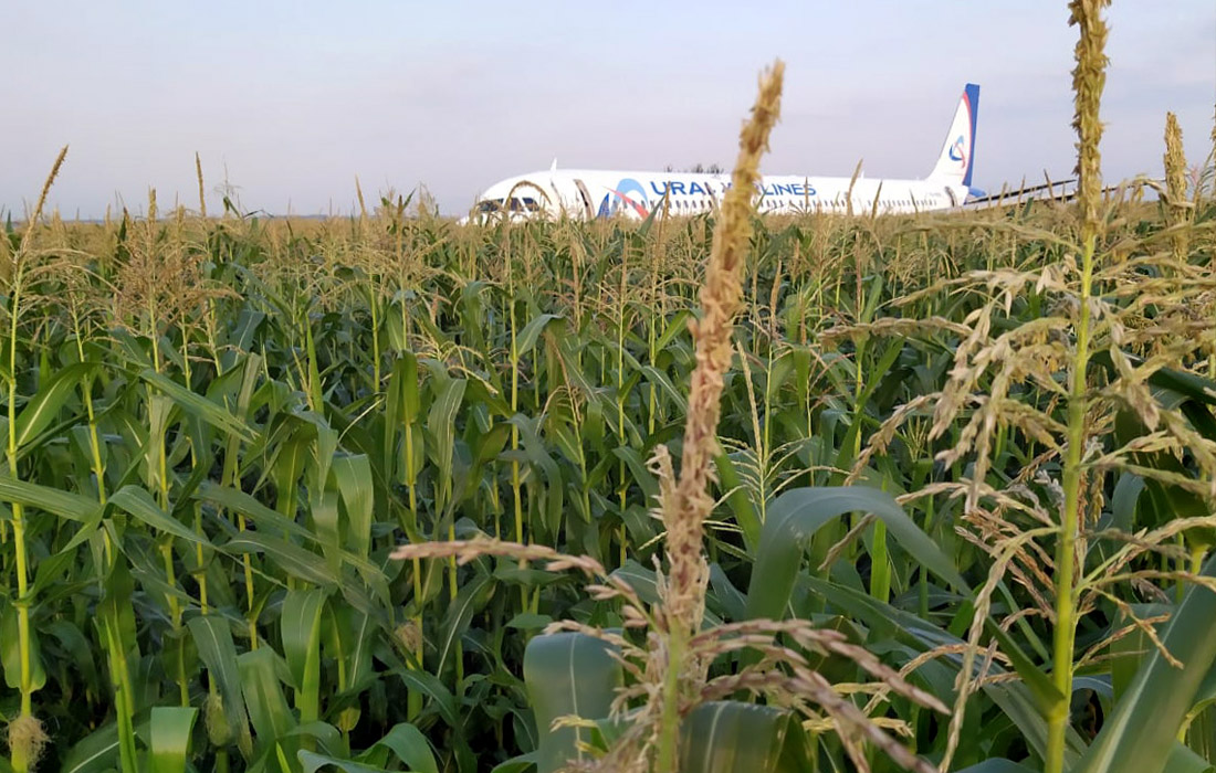 15 августа пассажирский лайнер Airbus А321 "Уральских авиалиний" вылетел из "Жуковского" в Симферополь и вскоре был вынужден совершить аварийную посадку из-за пожара в двигателе. Причиной возгорания стало столкновение с птицами. Самолет сел на кукурузном поле недалеко от взлетно-посадочной полосы. На борту лайнера было 226 пассажиров и семь членов экипажа, все выжили. Президент РФ Владимир Путин присвоил звания Героев России летчикам самолета.