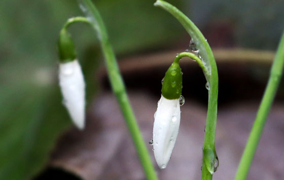 Фотохроника 23 декабря