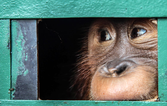 Лучшие фото недели